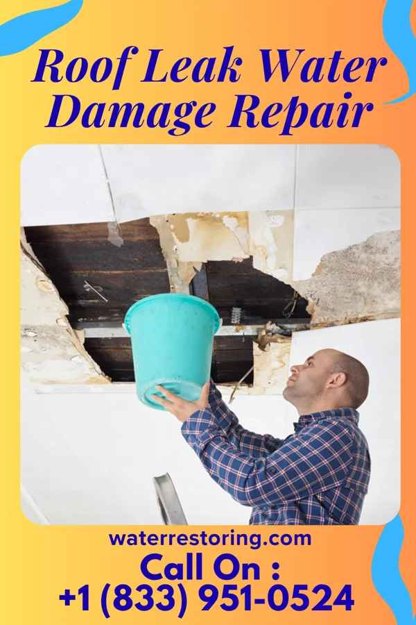 Roof Leak Water Damage Repair in Hebron, TX